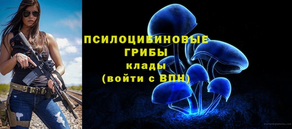 a pvp Алзамай